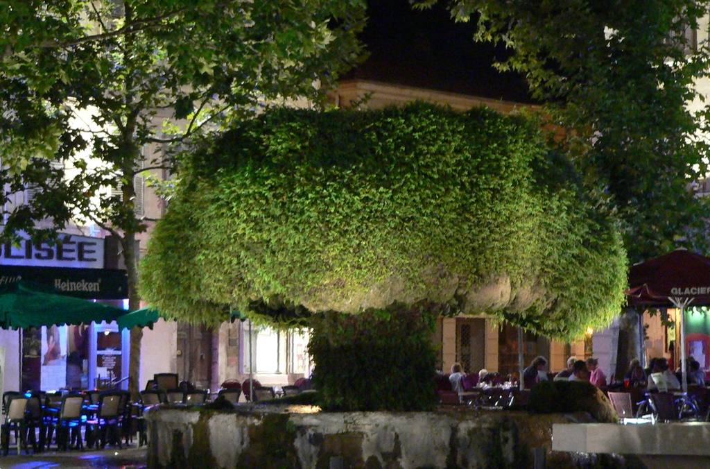 Salon-de-Provence