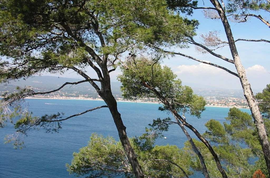 Saint-Cyr-sur-Mer