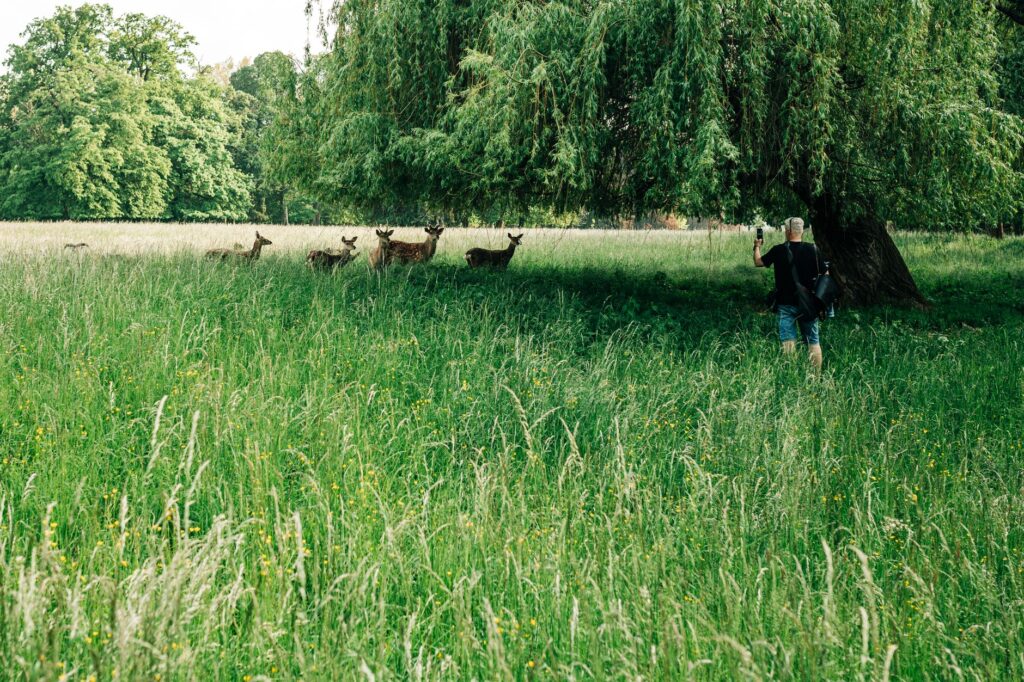 Maison Passive : Prix, Plans Bois et Normes Passivhaus
